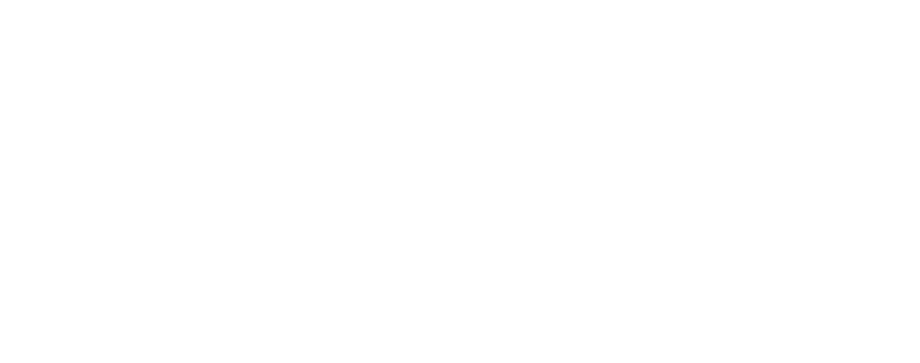 IVIDU